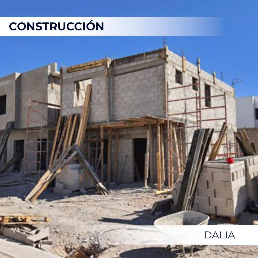 Construccion_Dalia_01