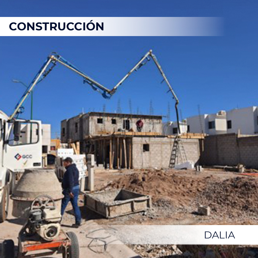 Construccion_Dalia_02