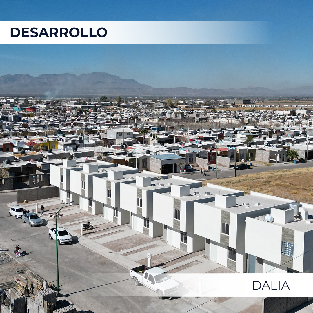 Desarrollo_DALIA