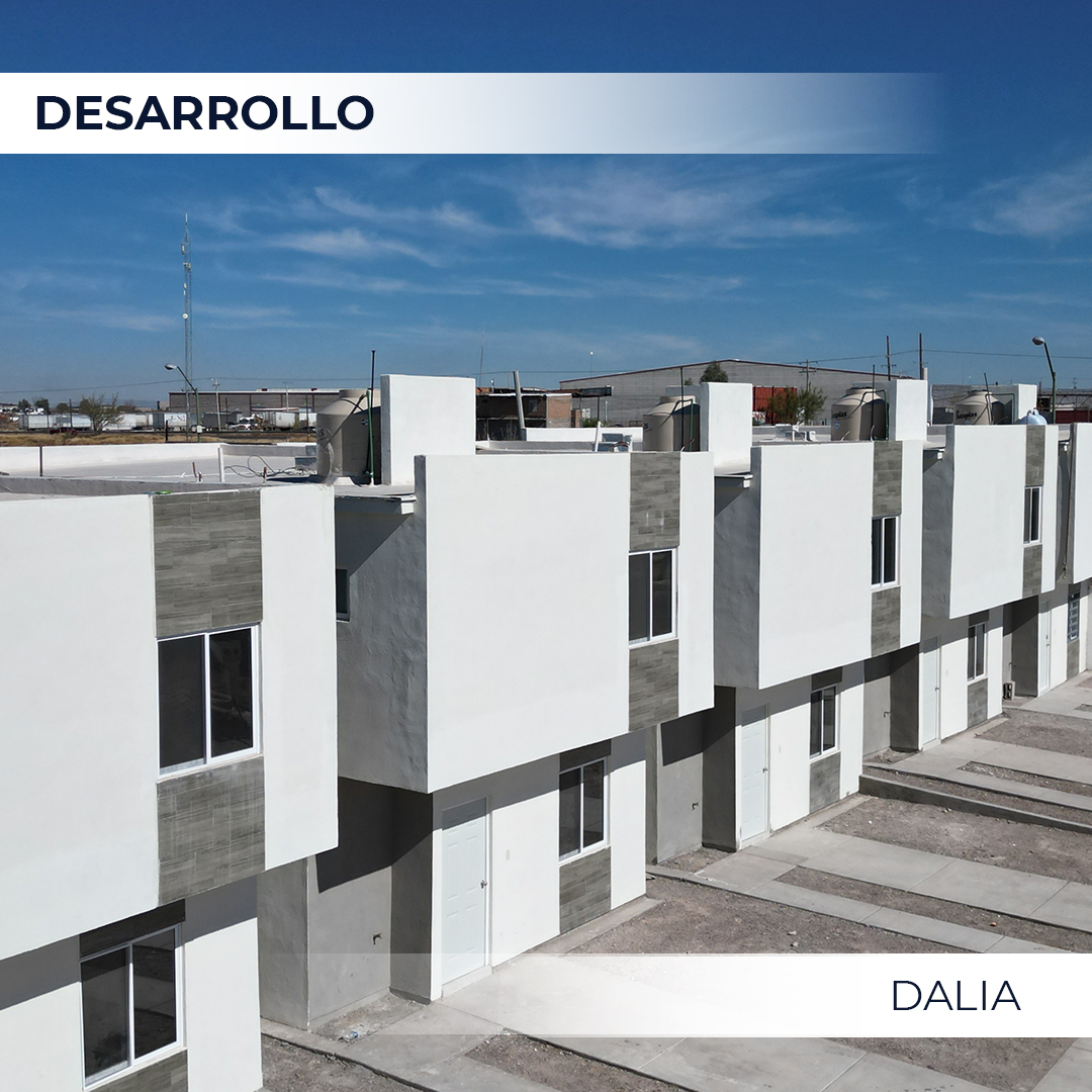 Desarrollo_DALIA02