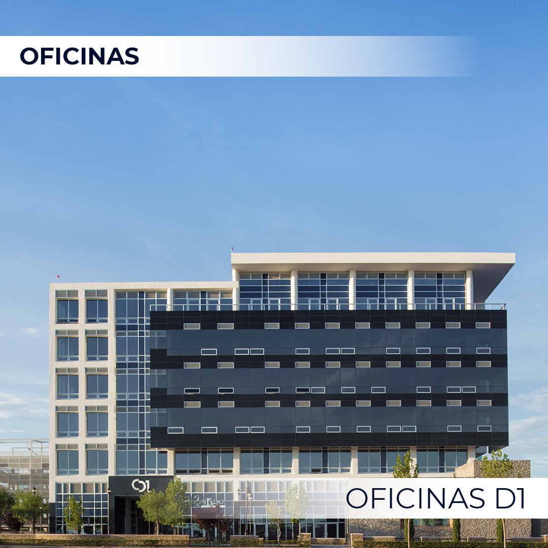 Oficinas_Oficinas D1_01